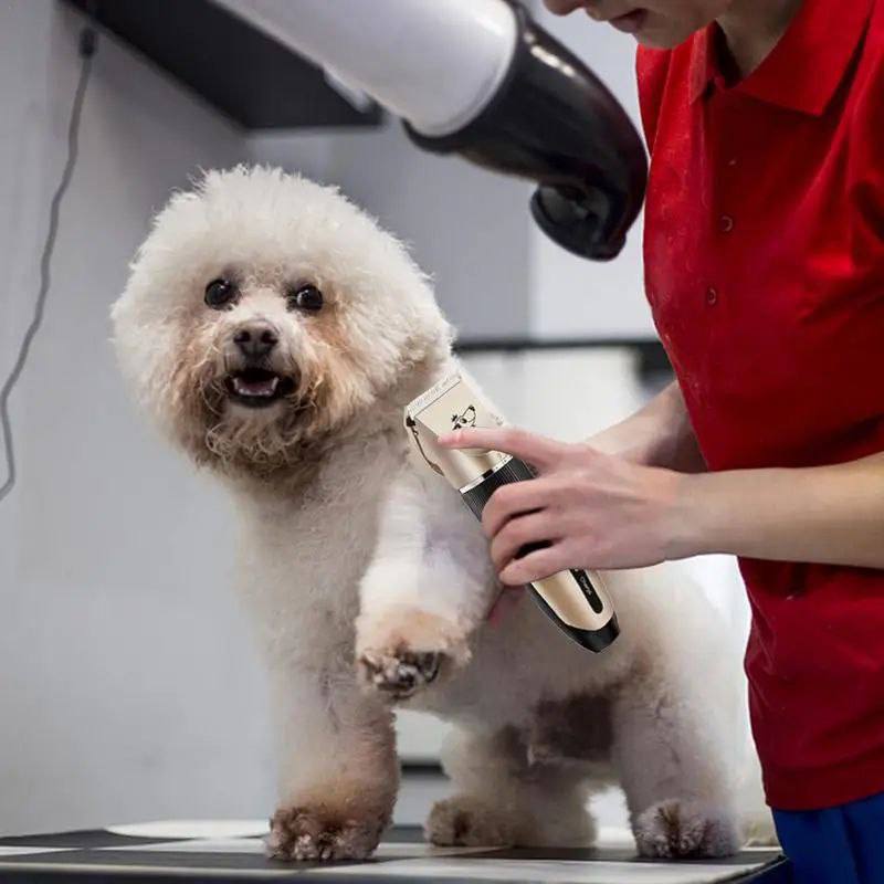 🐾Máquina Cortadora de Pelo para Mascotas